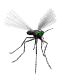 animated-mosquito.gif